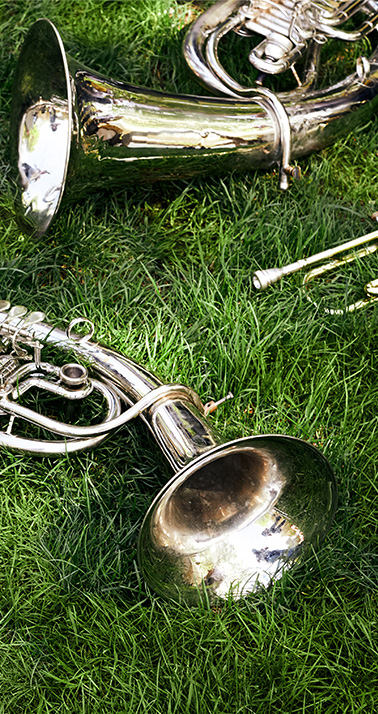 Tenorhorn